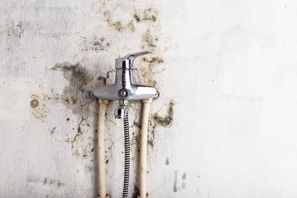 Best Water Damage Restoration  in Nashua, NH