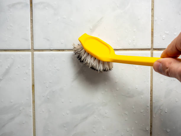 Office Mold Removal Services in Nashua, NH