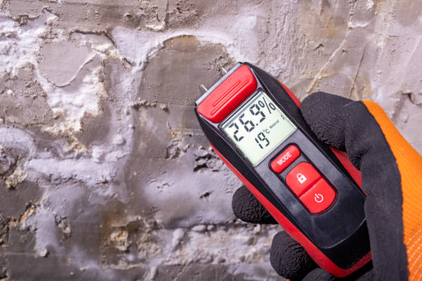 Best Crawl Space Mold Removal  in Nashua, NH
