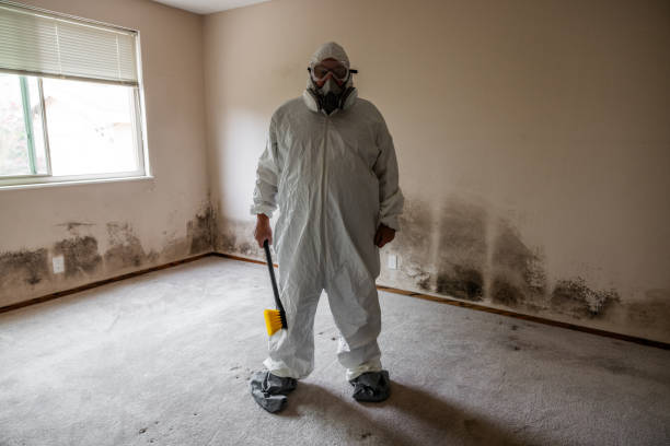 Water Damage Restoration in Nashua, NH